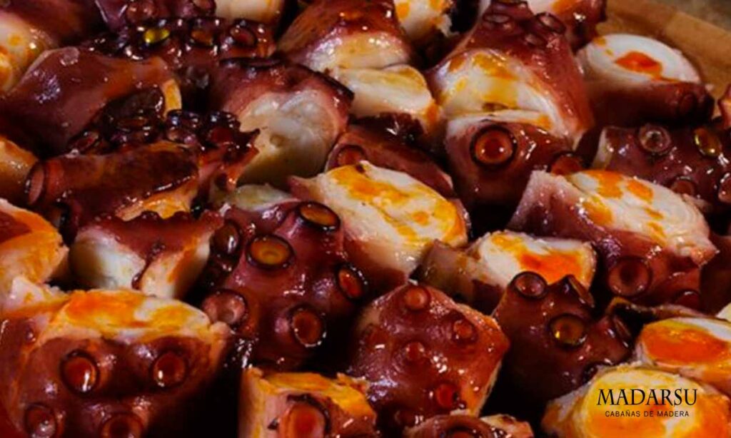 Gastronomía Sanabresa
