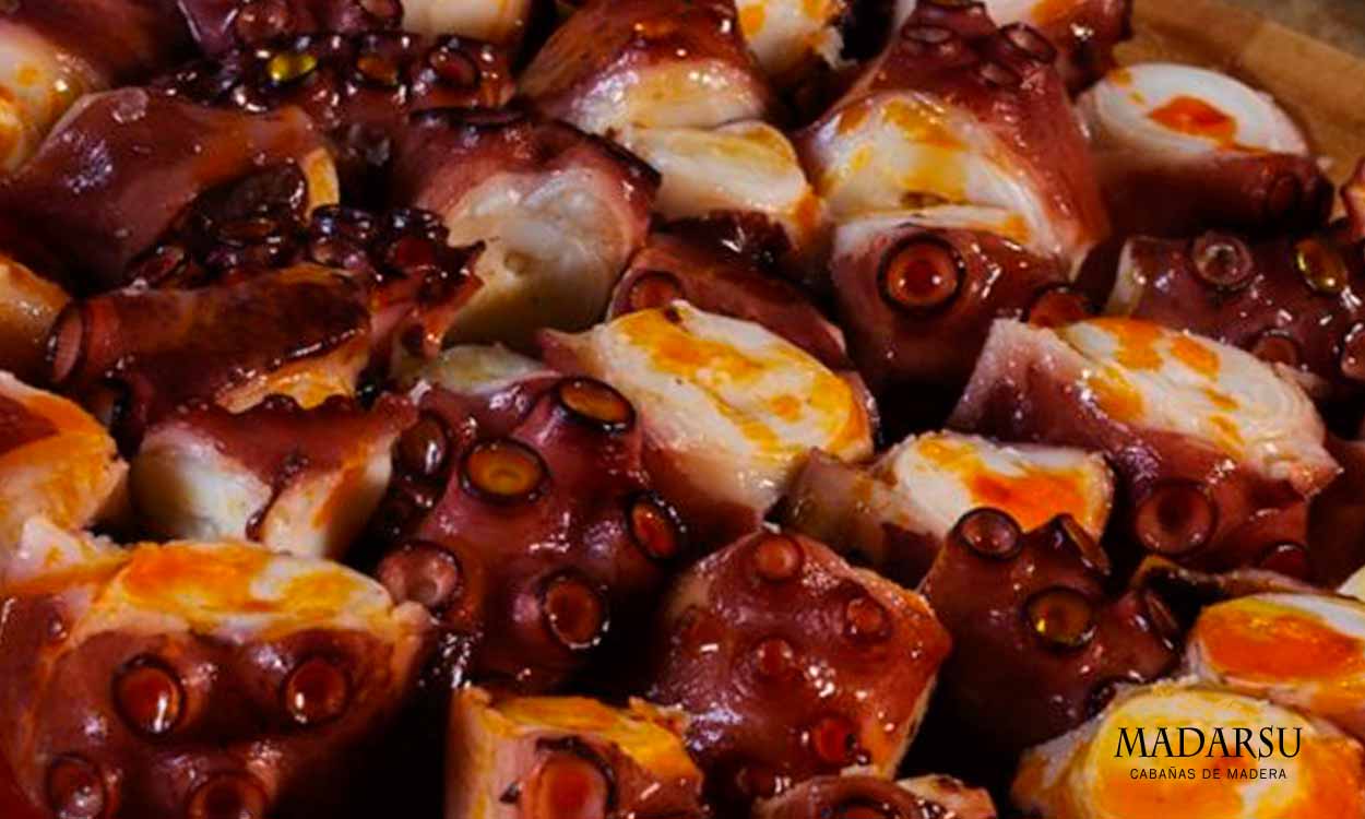 Gastronomía Sanabresa